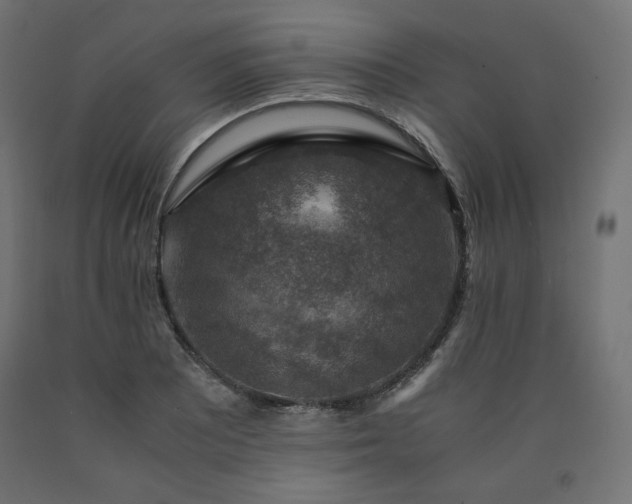 X0000091011081200708021543