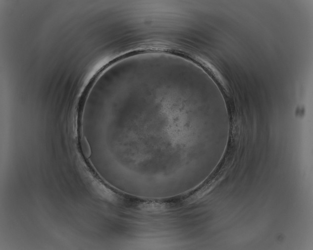 X0000091011083200708021543