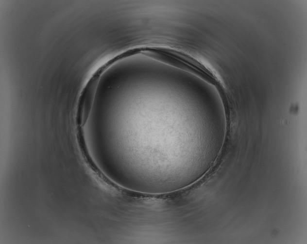 X0000091011085200708021543