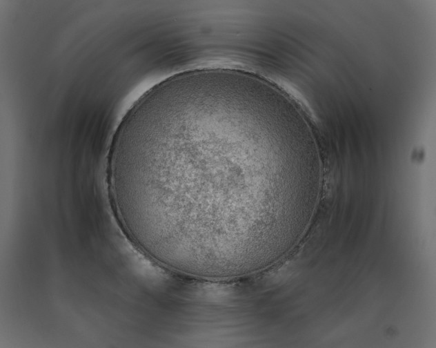 X0000091011086200708021543