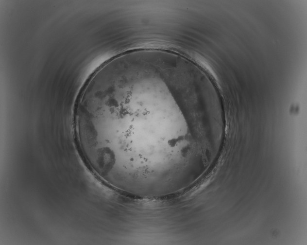 X0000091011087200708021543
