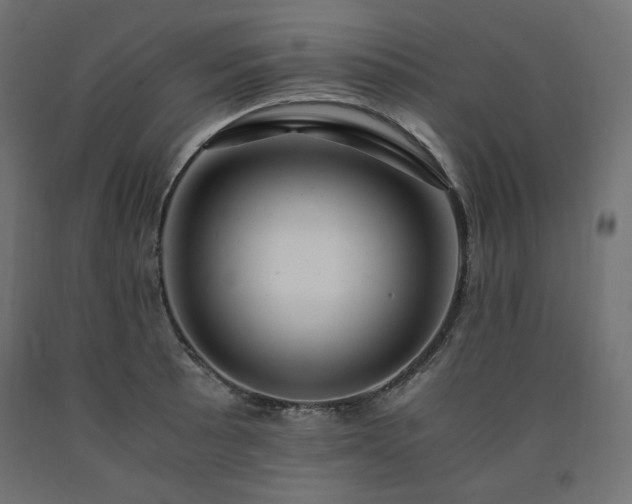 X0000091011089200708021543