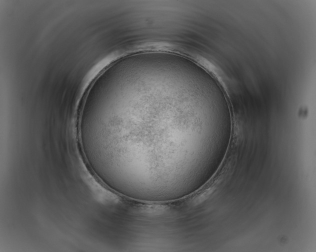 X0000091011090200708021543