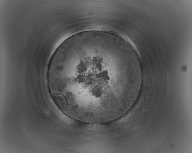X0000091011091200708021543