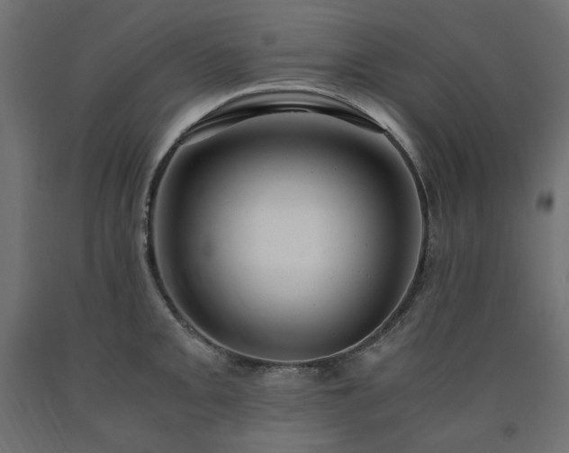 X0000091011093200708021543