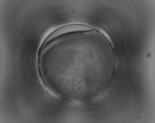X0000091011096200708021543