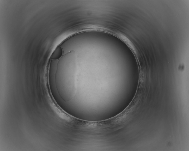 X0000091011098200708021543