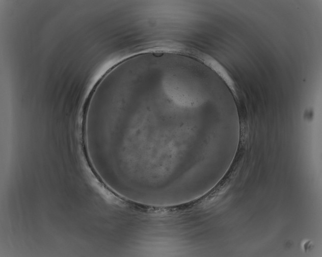 X0000091011099200708021543