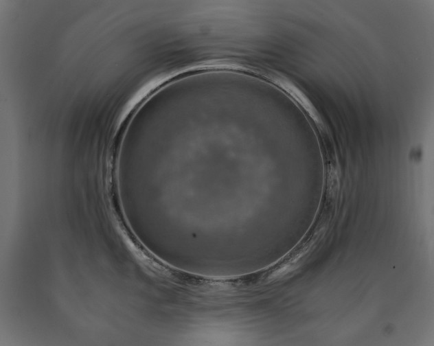 X0000091011101200708021543