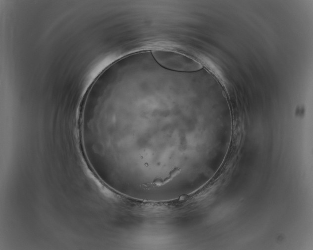 X0000091011103200708021543