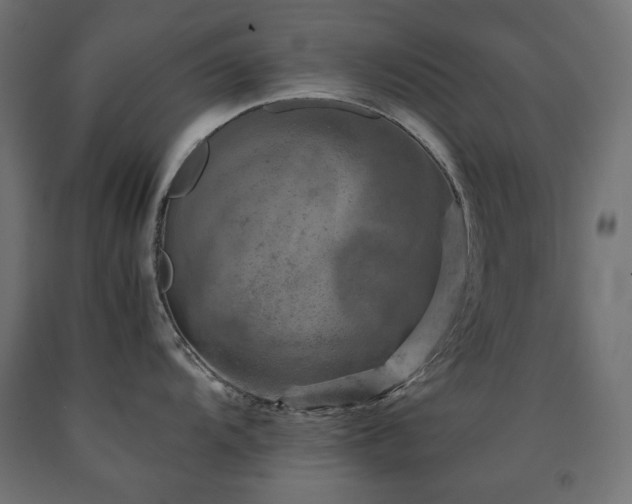 X0000091011104200708021543