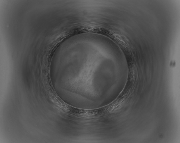 X0000091011105200708021542