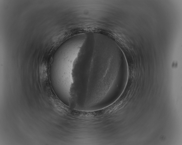 X0000091011106200708021542