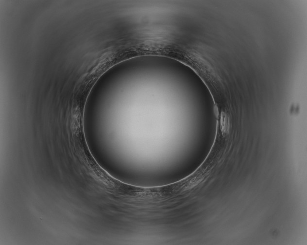 X0000091011107200708021542