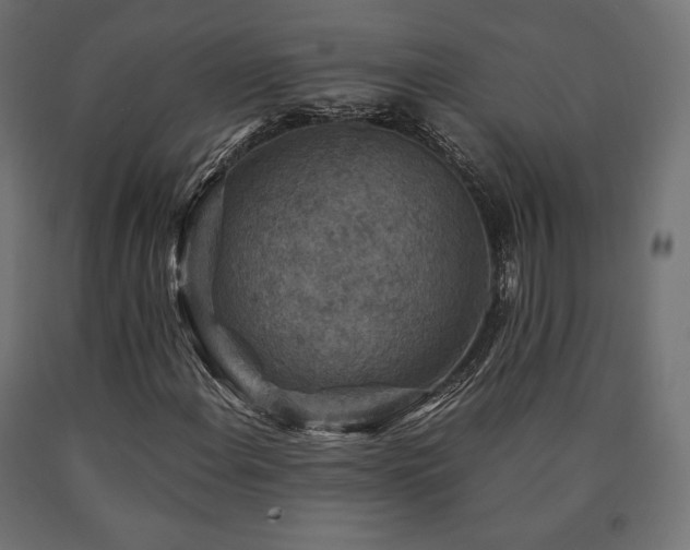 X0000091011108200708021542