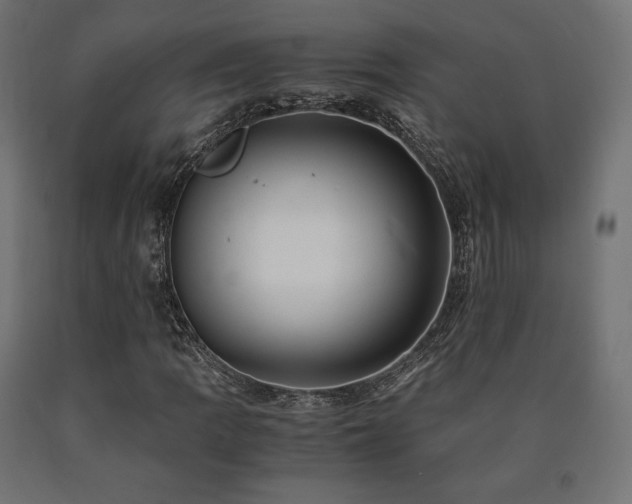 X0000091011109200708021542