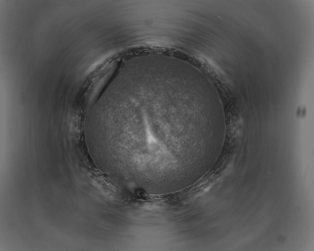 X0000091011110200708021542
