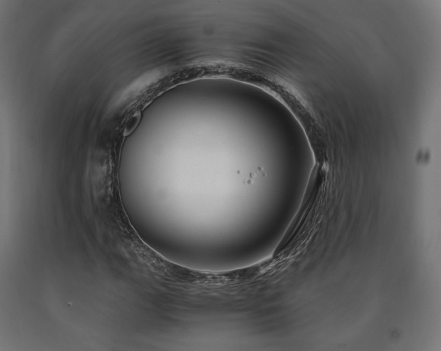 X0000091011111200708021542