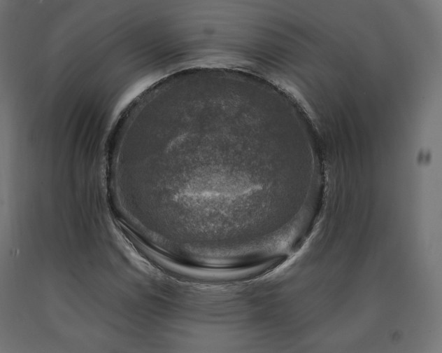 X0000091011114200708021543