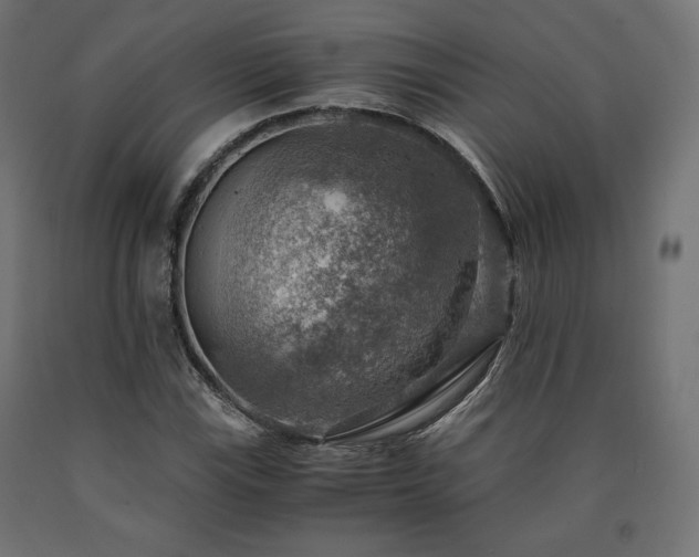 X0000091011115200708021543