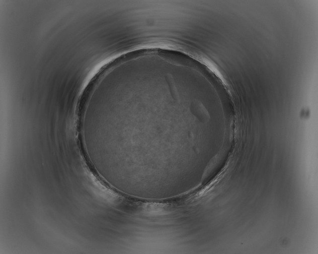 X0000091011116200708021543