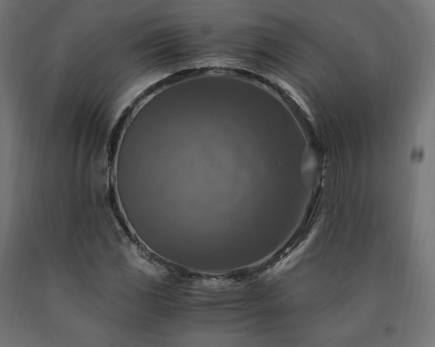 X0000091011117200708021543