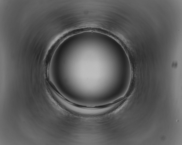 X0000091011118200708021543