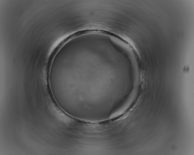 X0000091011120200708021543