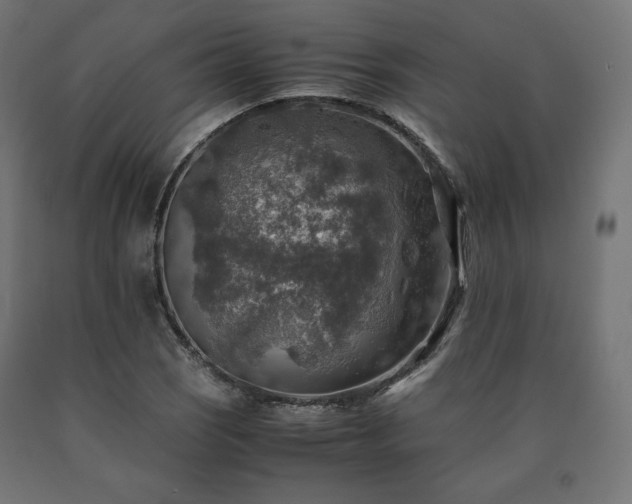 X0000091011121200708021543