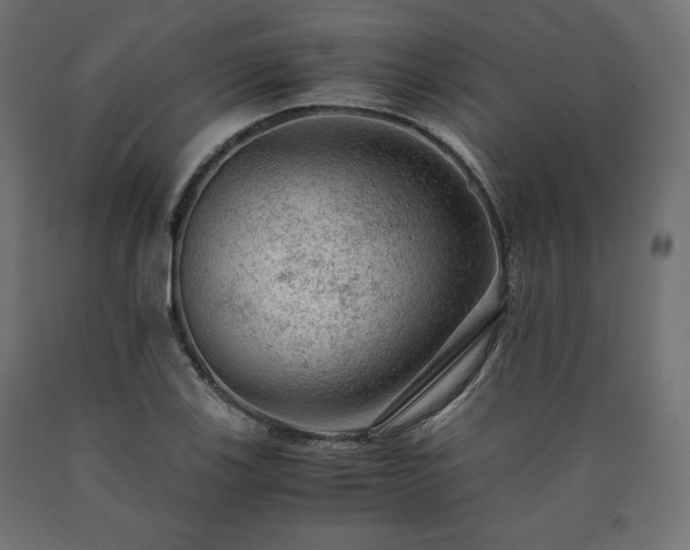 X0000091011123200708021543