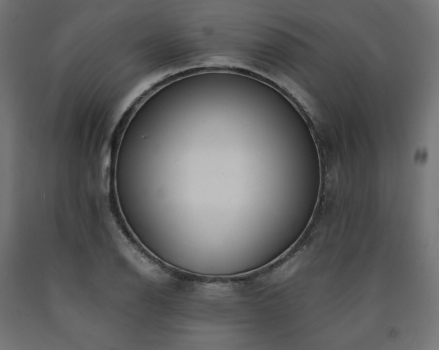 X0000091011126200708021543