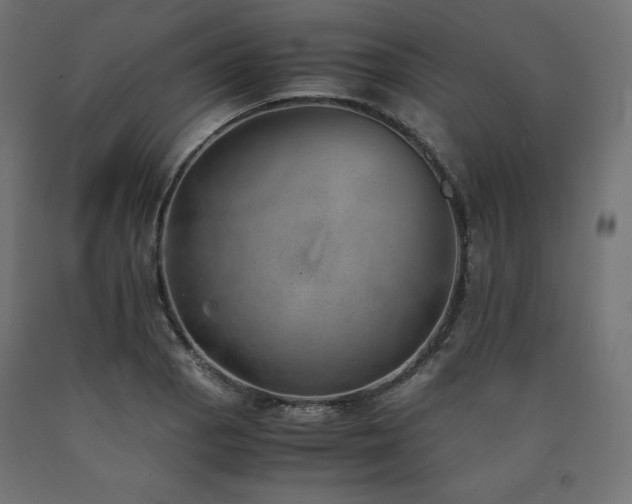 X0000091011129200708021543