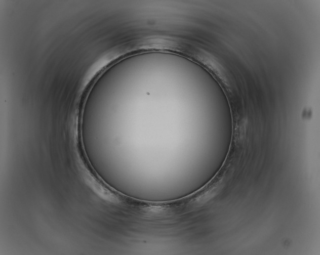 X0000091011130200708021543