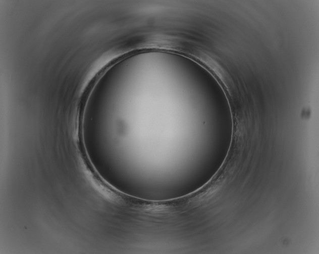 X0000091011131200708021543