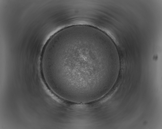 X0000091011134200708021543