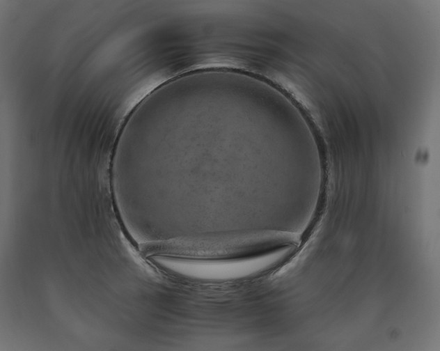 X0000091011137200708021543