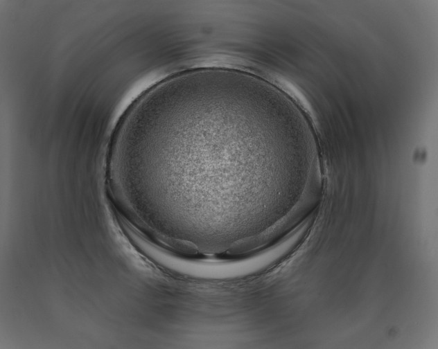 X0000091011138200708021543