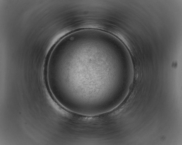 X0000091011139200708021543