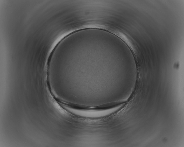 X0000091011140200708021543