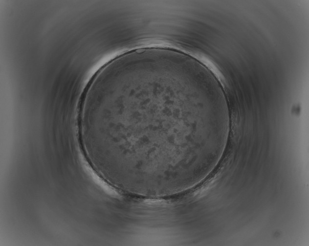 X0000091011142200708021543