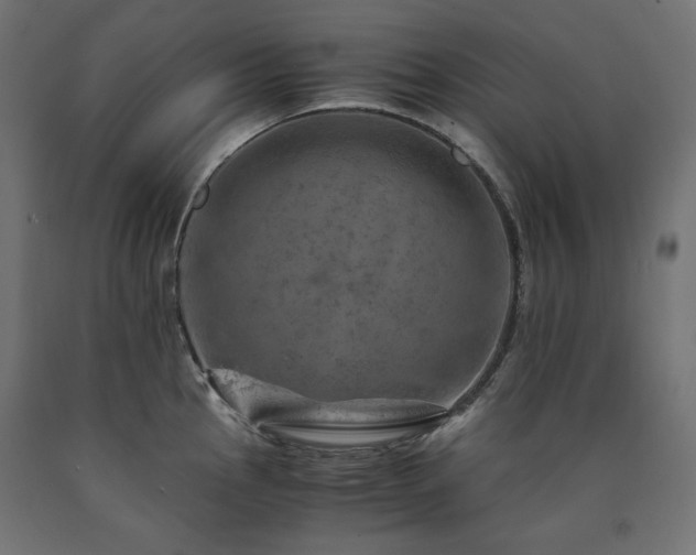 X0000091011145200708021543