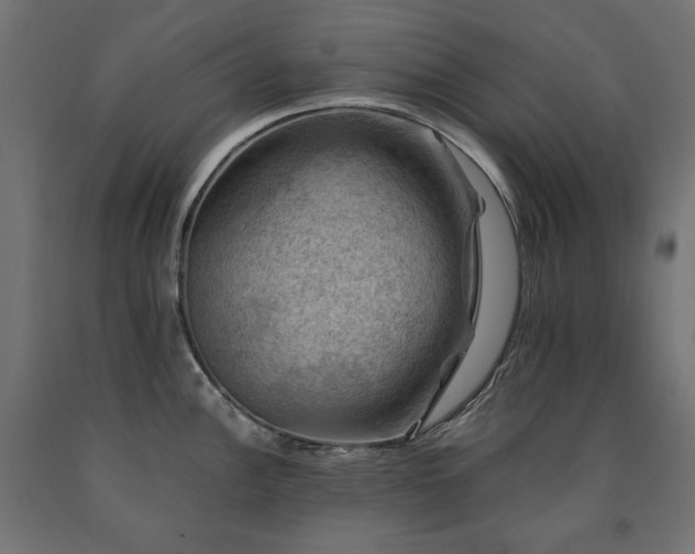 X0000091011148200708021543