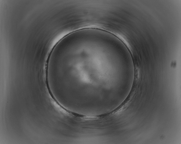 X0000091011151200708021543