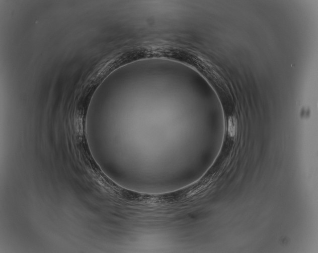 X0000091011155200708021542