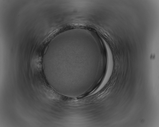 X0000091011156200708021542
