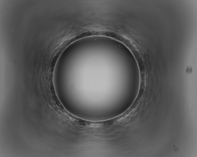 X0000091011157200708021542