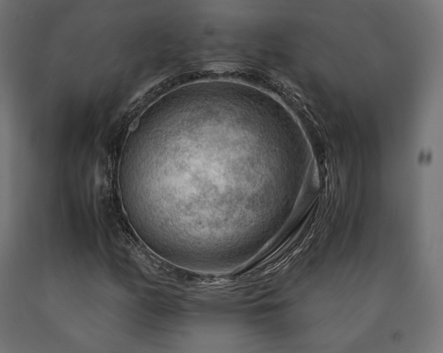 X0000091011158200708021542