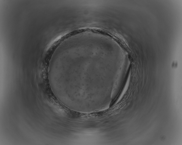 X0000091011159200708021542