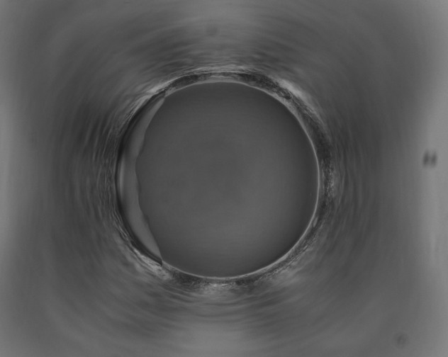 X0000091011161200708021542