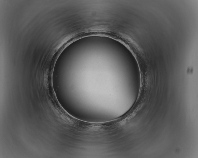 X0000091011162200708021542